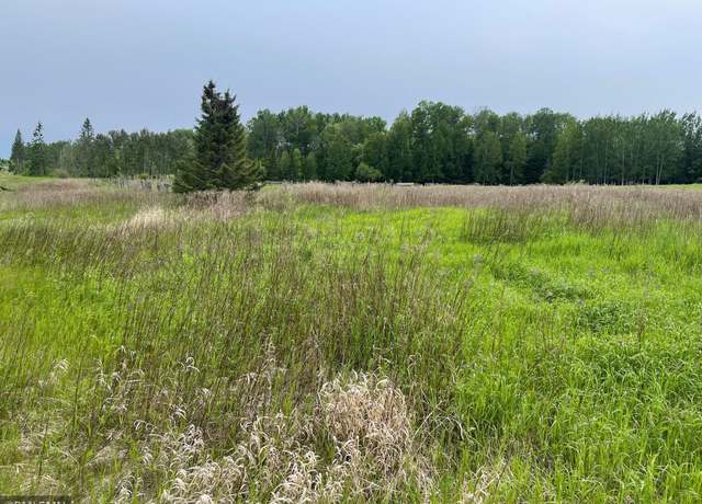 Property at 25617 North Rd, Trout Lake Twp, MN 55709