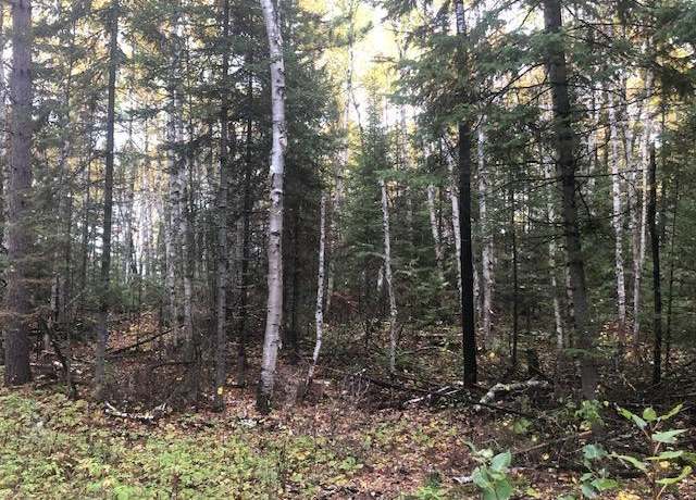 Property at TBD Highway 5, Morcom Twp, MN 55723
