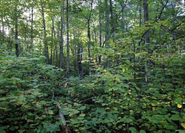 Property at L3 B13 WB15 Winter Trl, Breezy Point, MN 56472