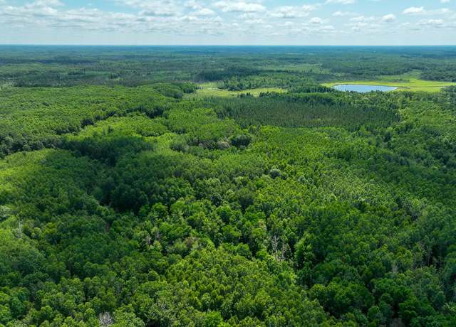 Property at TBD Sago 5, Sago Twp, MN 55784