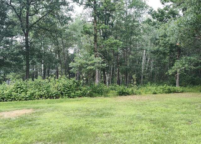 Property at TBD E Blueberry River Dr, Menahga, MN 56464