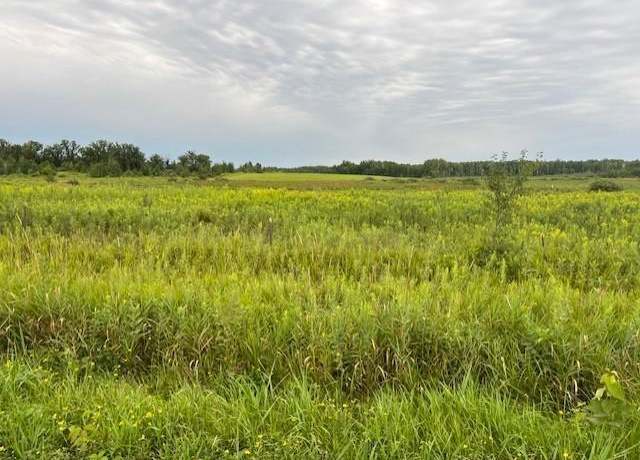 Property at TBD Olympic St, Whited Twp, MN 55007