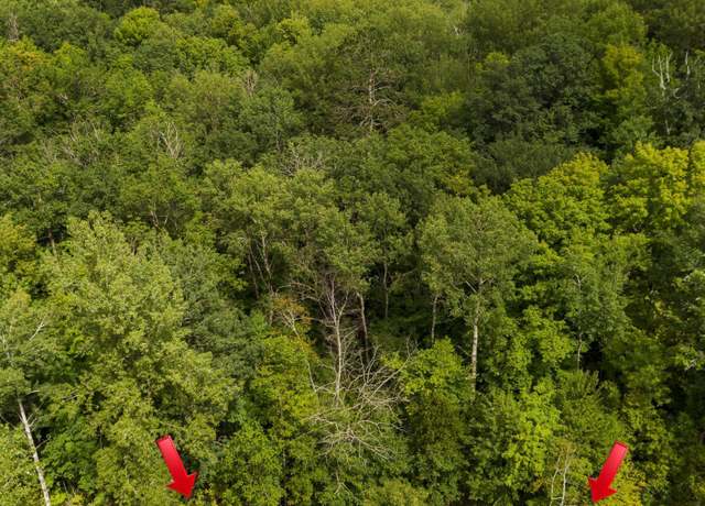 Property at TBD Deer Trl, Kathio Twp, MN 56450