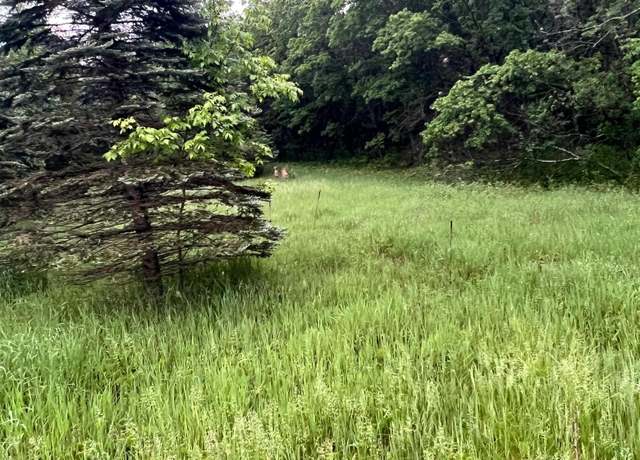 Property at TBD 174th St NW, Orrock Twp, MN 55309