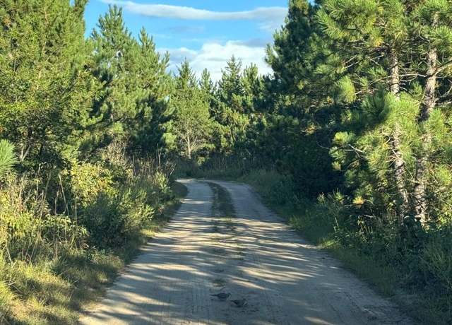 Property at 25333 196th St, Bullard Twp, MN 56479, 1 bed