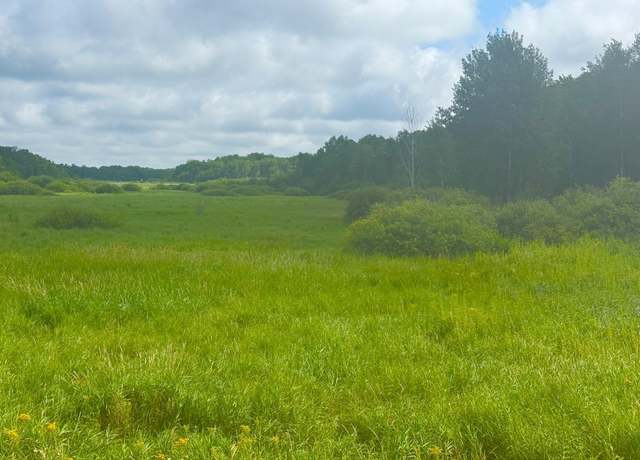 Property at 000 370th Ave, Richardson Twp, MN 56338