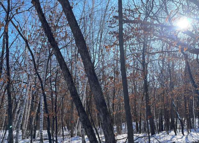 Property at B1 L12 181st Ave NW, Ramsey, MN 55303