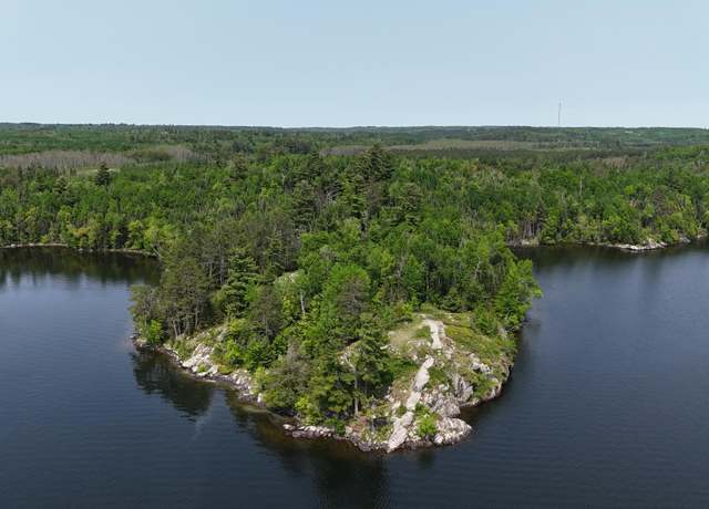 Property at TBD 11.85 Bessette Rd, Orr, MN 55771