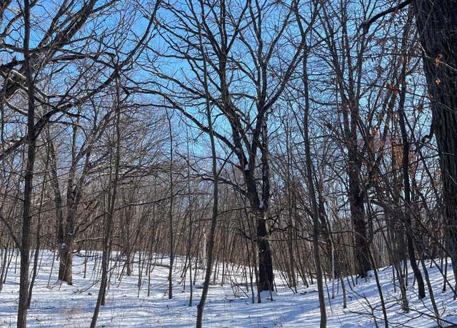 Property at B1 L3 181st Ave NW, Ramsey, MN 55303