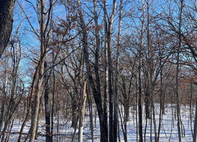 Property at B1 L6 181st Ave NW, Ramsey, MN 55303