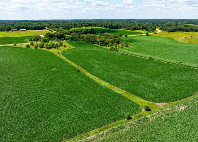 Property at 14XXX Paul Ave N, May Twp, MN 55047