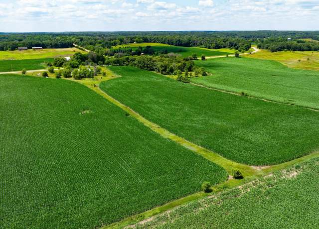 Property at 14XXX Paul Ave N, May Twp, MN 55047
