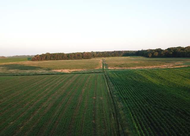 Property at XXX Cr4 / Major Ave, Hassan Valley Twp, MN 55350