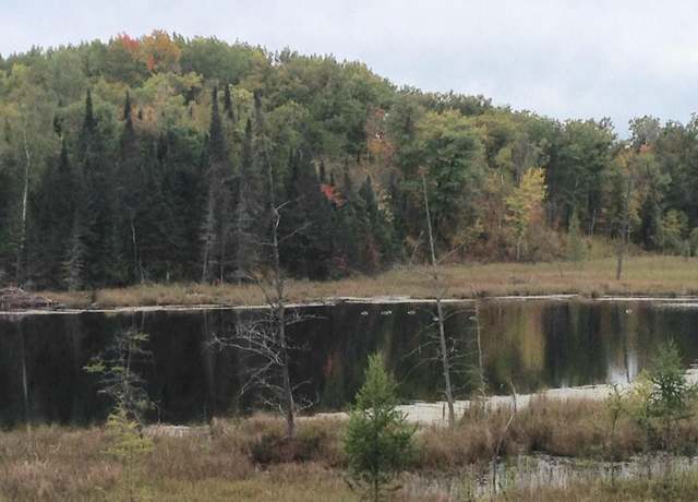 Property at 0 Co Rd 11, Perry Lake Twp, MN 56441