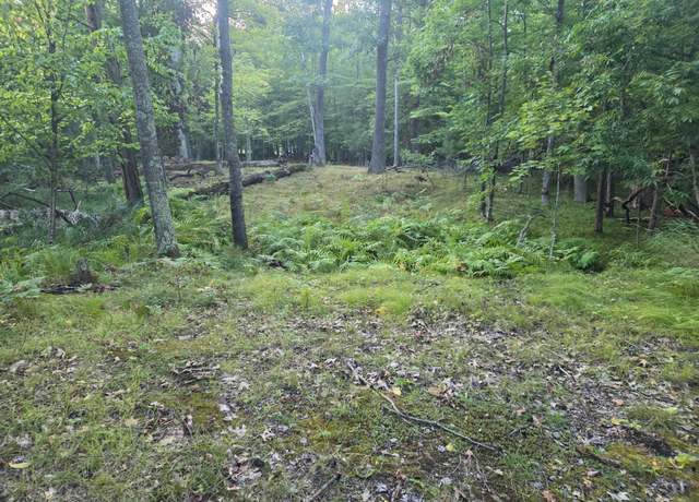 Property at TBD 484th St, Shamrock Twp, MN 55760
