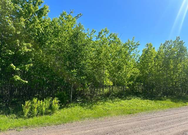 Property at 42xx Spotted Fawn Trl, Danbury, WI 54830