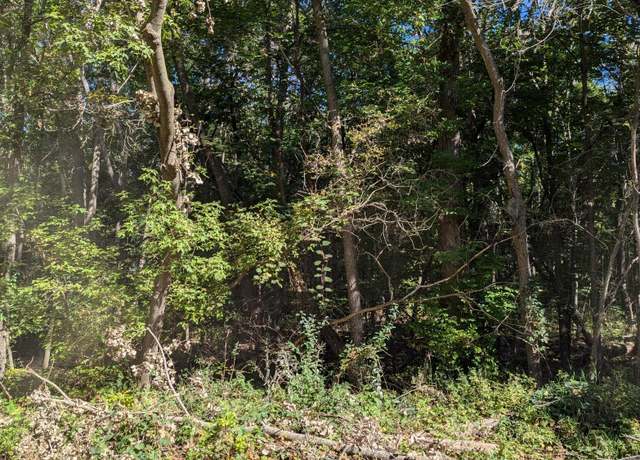 Property at TBD Decathelon, Dovre Twp, MN 56288