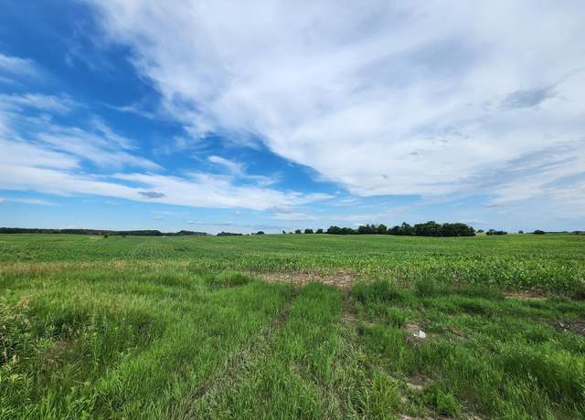 Property at 14XX1 Paul Avenue N Paul Ave N, May Twp, MN 55047