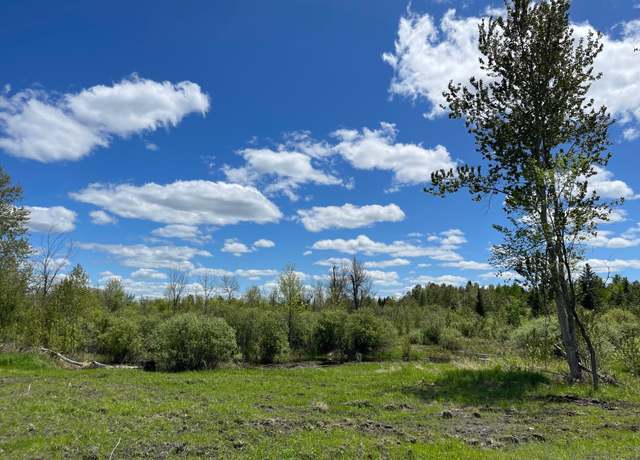 Property at 26596 Fawn Ln NE, Kelliher, MN 56650