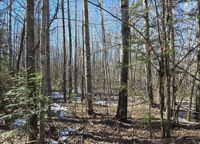 Property at 14381 Wilderness Dr NE, Turtle Lake Twp, MN 56601