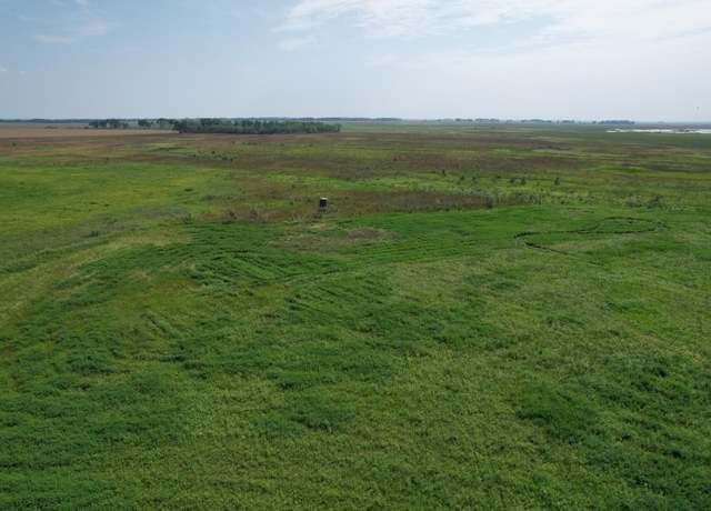 Property at TBD County Road 26, Manston Twp, MN 56579