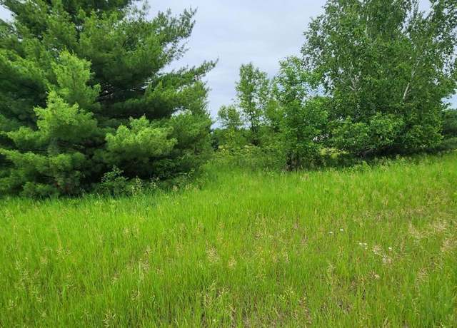 Property at 000 392nd St, Moran Twp, MN 56438