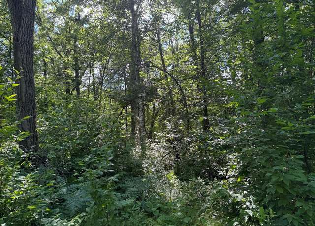 Property at xxx Blue Ridge Dr, Breezy Point, MN 56472