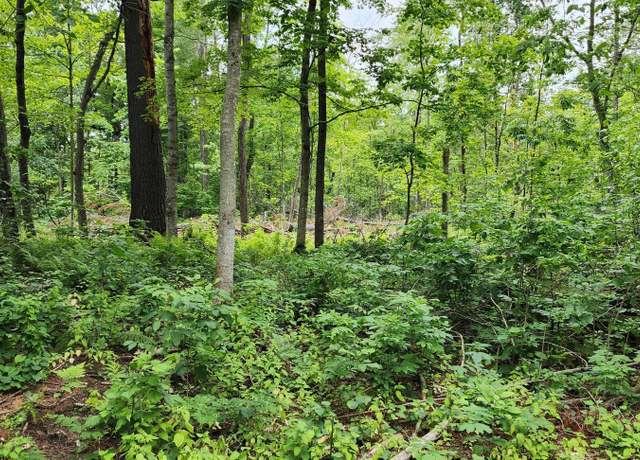 Property at 10xx US Hwy 8, Apple River Twp, WI 54001