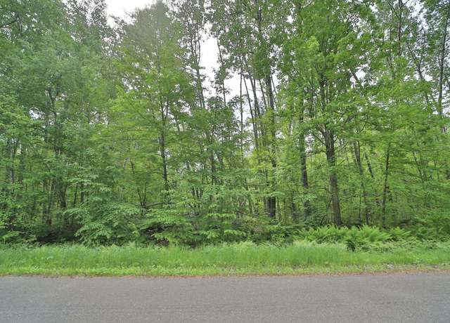Property at TBD Blue Ln E, Emily, MN 56447