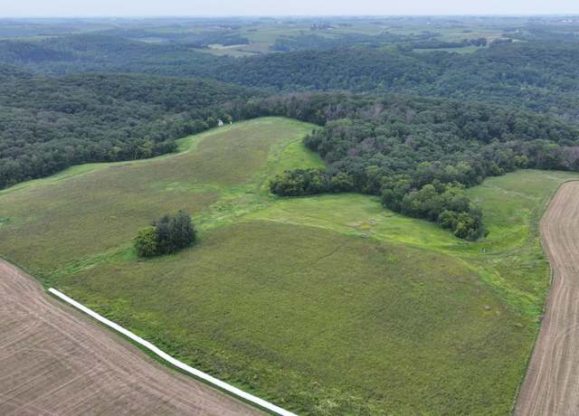 Property at TBD Township Road 301, Forestville Twp, MN 55965