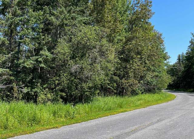 Property at TBD Town Road 224, International Falls, MN 56649