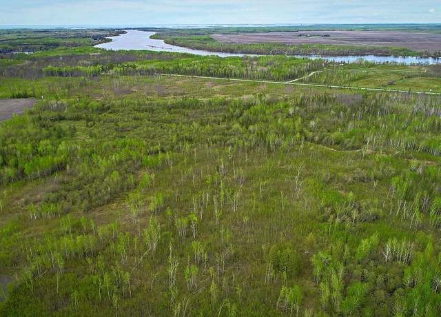 Property at TBD State Hwy 172 Clf, Baudette, MN 56623