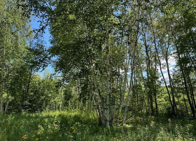 Property at TBD Nokay Hall Rd, Brainerd, MN 56401