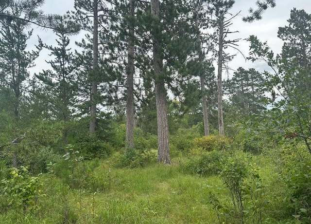 Property at TBD Memorial Ln NW, Bemidji, MN 56601