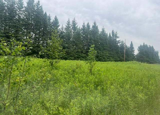 Property at XXX 210th St, Milaca, MN 56353
