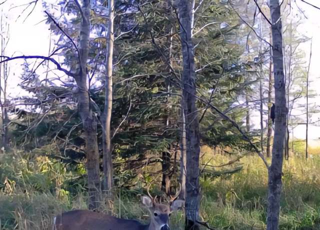 Property at Lot A 316th St, Clarissa, MN 56440