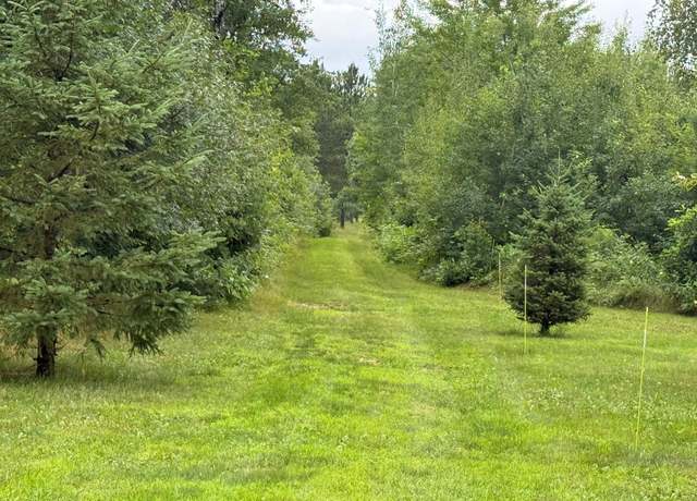 Property at 11.5 Acre Lot Nagel Rd, Pequot Lakes, MN 56472