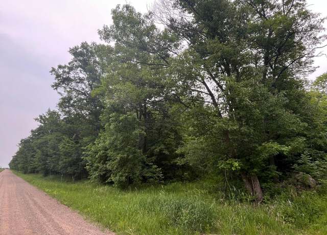 Property at XXX Thesing Rd, Daggett Brook Twp, MN 56401