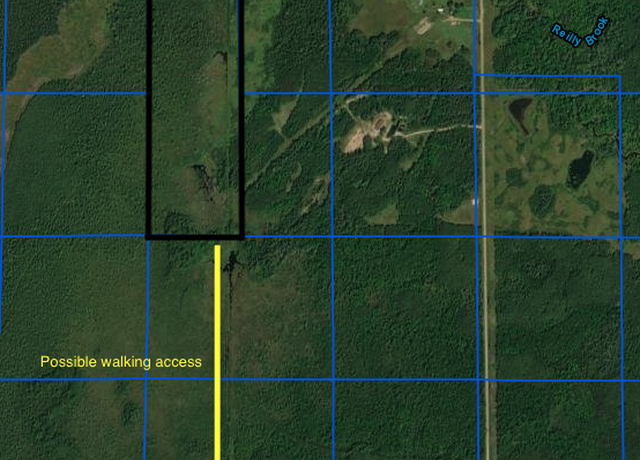 Property at TBD Co Rd 62, South Koochiching Unorg. Terr., MN 56639