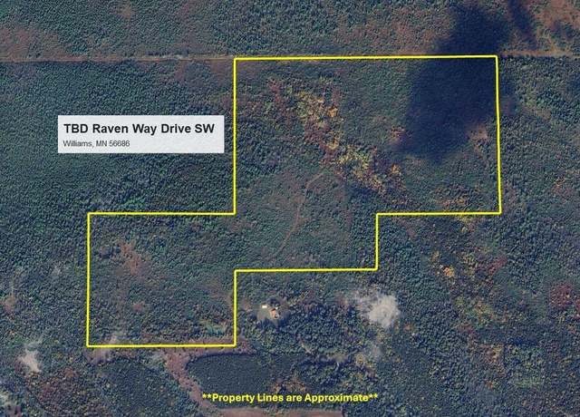 Property at TBD Raven Way SW, Williams, MN 56686