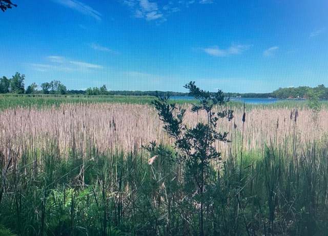Property at xxx 388th, South Harbor Twp, MN 56359