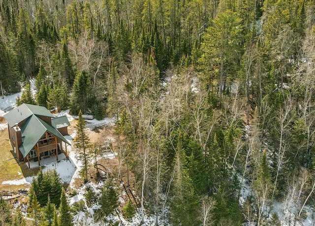 Property at 25440 Odonnell Ln, Bigfork, MN 56628, 3 beds, 2 baths