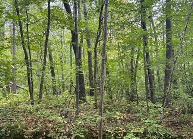 Property at xxx Lost Lake Pass, Cushing Twp, MN 56443
