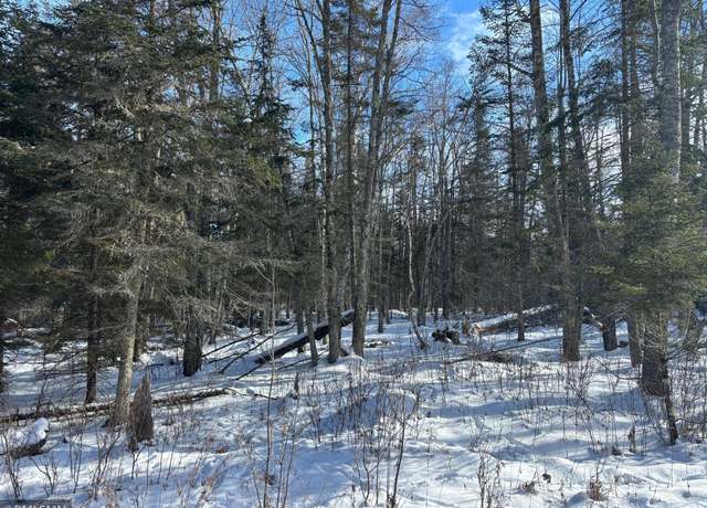Property at XXX 120th Pl, Tamarack, MN 55787