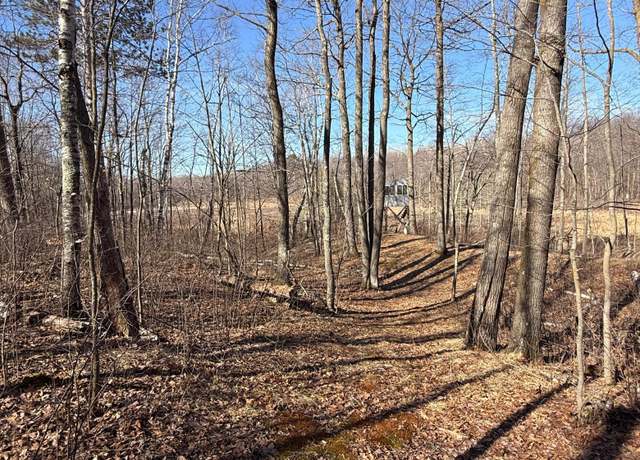 Property at TBD Big Stone Pass, Cushing, MN 56475