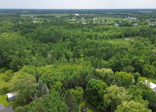 Property at 171 S 1st St, Foreston, MN 56330