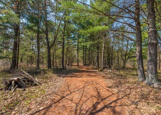 Property at TBD Highway 6, Fairfield Twp, MN 56441