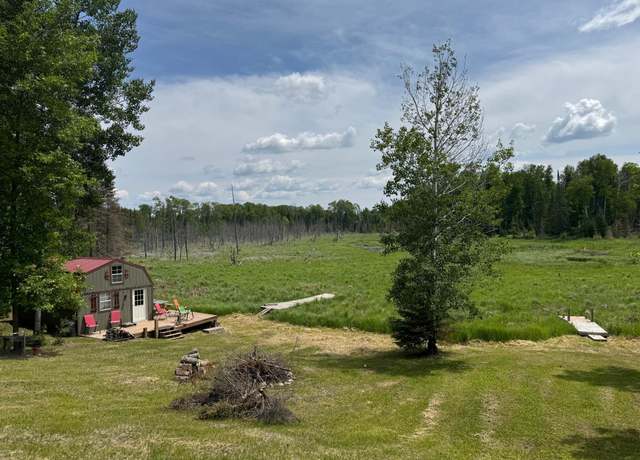Property at 41251 Turtle Lake Rd, Stokes Twp, MN 56628, 1 bed