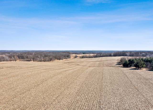 Property at 39889 Quinlan Ave, Amador Twp, MN 55012