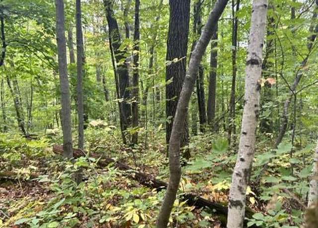 Property at xxx Lost Lake Trl, Cushing Twp, MN 56443